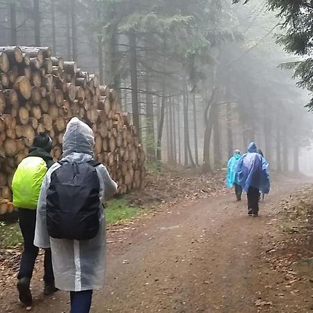 Urlaubsdomizil Am Toepfer - Ferienwohnungen In Olbersdorf Exterior foto