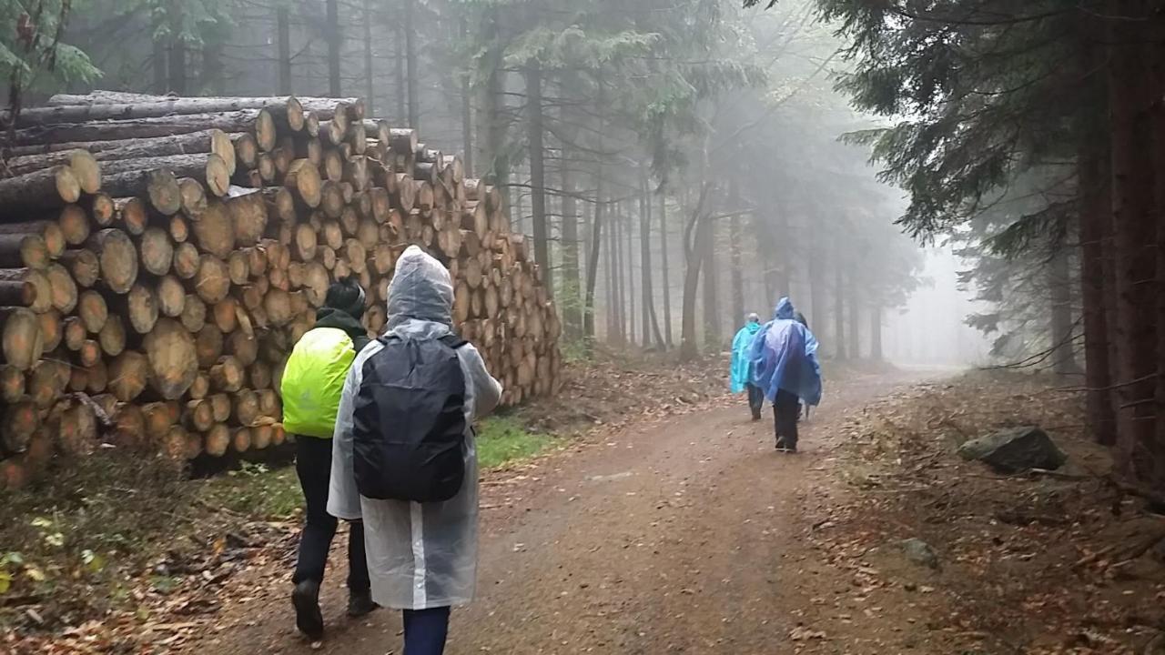 Urlaubsdomizil Am Toepfer - Ferienwohnungen In Olbersdorf Exterior foto