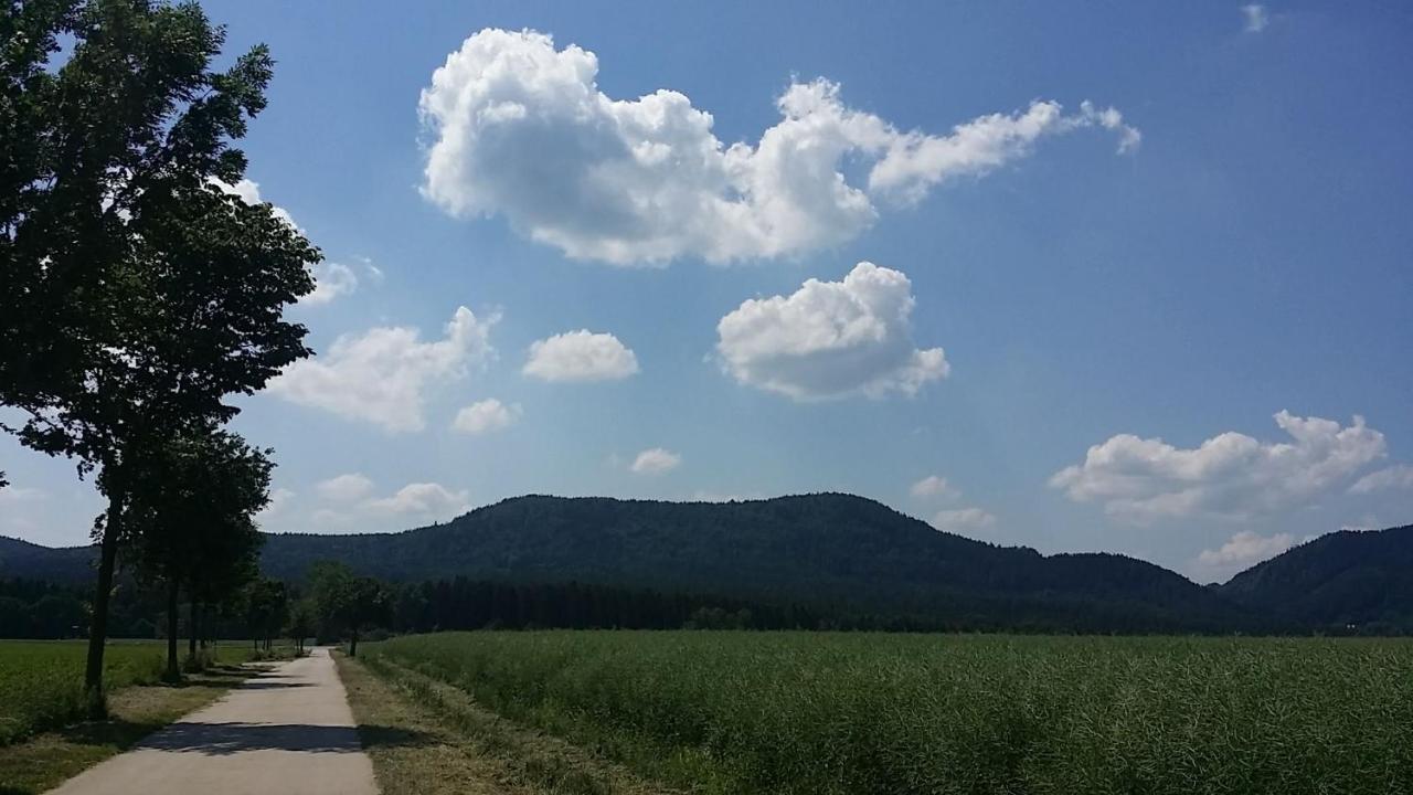 Urlaubsdomizil Am Toepfer - Ferienwohnungen In Olbersdorf Exterior foto