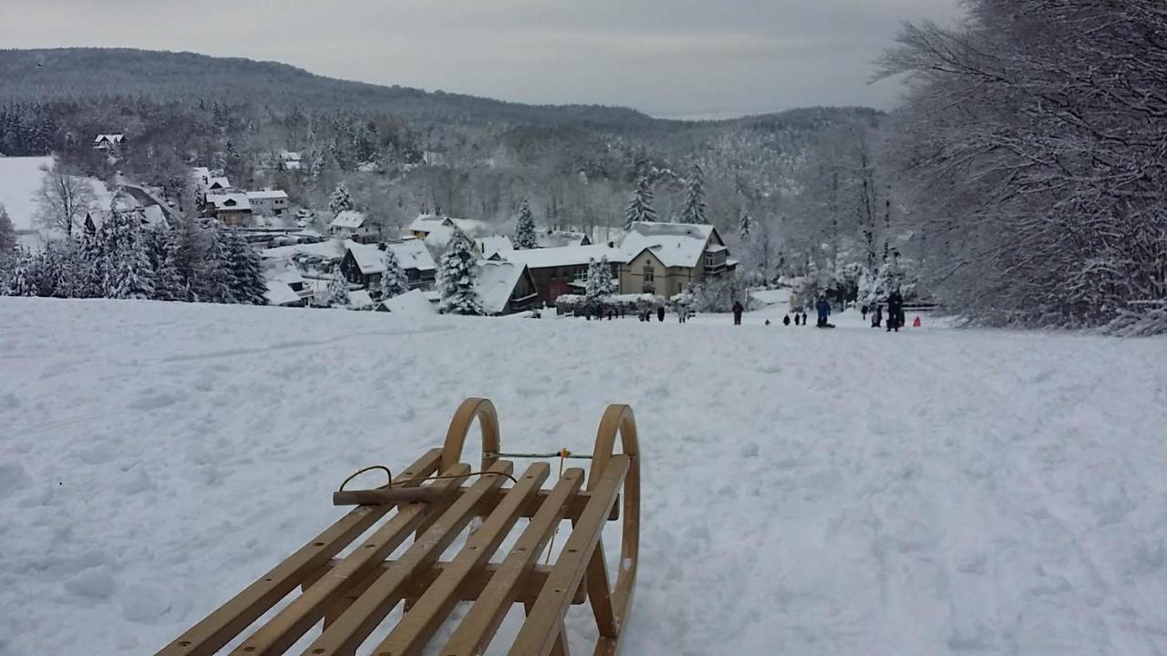 Urlaubsdomizil Am Toepfer - Ferienwohnungen In Olbersdorf Exterior foto