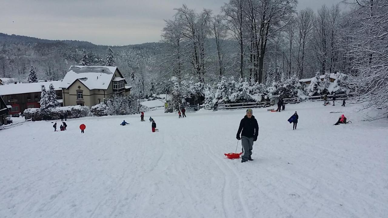 Urlaubsdomizil Am Toepfer - Ferienwohnungen In Olbersdorf Exterior foto